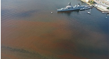 İzmit Körfezi kahverengine boyandı