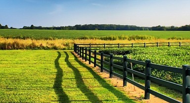 Kandıra'da 139 metrekare arsa mahkemeden satılık