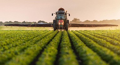 Körfez'de 990 metrekare tarla mahkemeden satılık