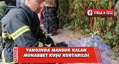 Muhabbet kuşunu yangından itfaiye ekipleri kurtardı
