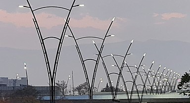 Muhtelif caddeleri için dekoratif aydınlatma direği satın alacak