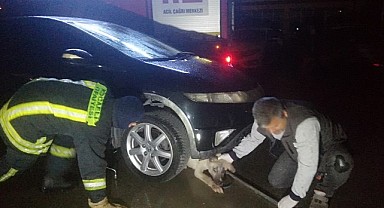 Otomobilin altında sıkışan köpeği itfaiye kurtardı