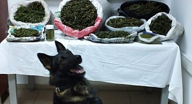 Uyuşturucu operasyonunda yakalanan şahıs tutuklandı