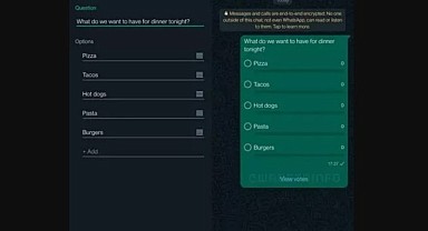 WhatsApp, sohbetlerde anket özelliğini test ediyor