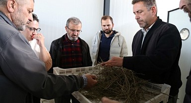 Aromatik bitki kursları KO-MEK’te