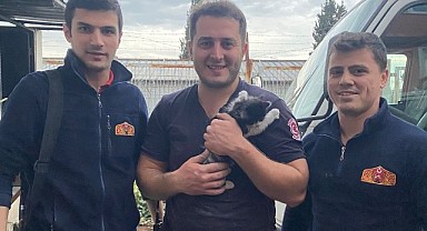 Duvara sıkışan yavru kediyi itfaiye kurtardı!