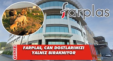 Farplas, sokak hayvanları için harekete geçti
