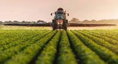 Gebze'de 279 metrekare tarla mahkemeden satılık