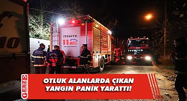 Gebze ve Kandıra'da yangın! Lodosun etkisiyle büyüdü!