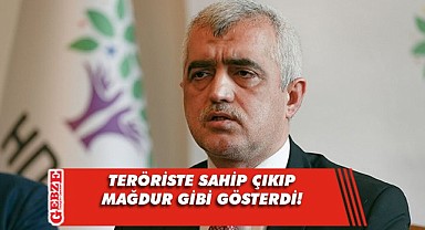 Gergerlioğlu'nun skandal söylemleri bitmek bilmiyor!