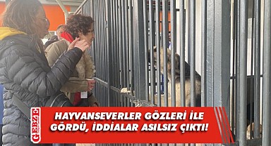 Hayvanseverler Gebze'deki rehabilitasyon merkezine gitti!