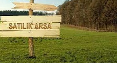 Karamürsel'de 21 bin 733 metrekare tarla mahkemeden satılık