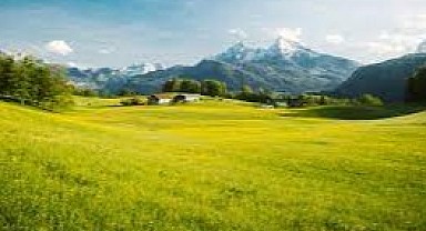 Karamürsel'de 7 bin 421 metrekare tarla mahkemeden satılık