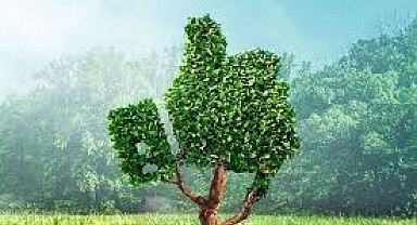 Karamürsel'de 785 metrekare tarla mahkemeden satılık