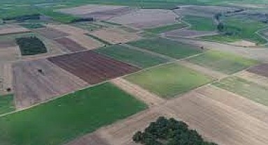 Körfez'de 4 bin 214 metrekare tarla mahkemeden satılık