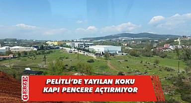 Pelitli'deki bu kokunun sorumlusu kim?