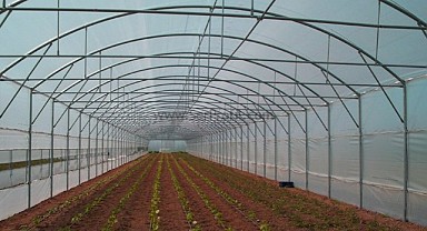 Sera malzemesi satın alınacak