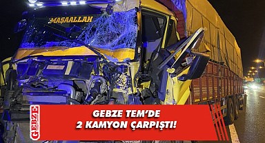 TEM'de 2 kamyon çarpıştı, araçta sıkışan sürücü yaralandı!