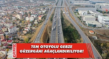 TEM'in Gebze güzergâhı yeşile bürünüyor!