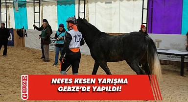 Türkiye Atlı Dayanıklılık yarışmaları nefesleri kesti