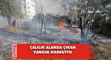 Zeytin ağaçlarının olduğu arazide yangın çıktı!