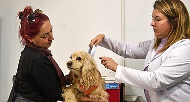 Bakan Kirişci'den çip uygulamasında süre uzatımı sinyali