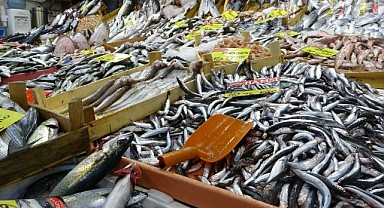 Balık tezgahlarında palamutun yerini çinekop alıyor
