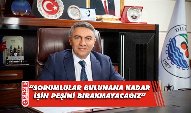 Başkan Şayir'den yaşanan hayvan katliamına tepki!