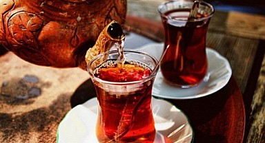 Büyükşehir’e ait 2 adet çay bahçesi kiraya verilecek