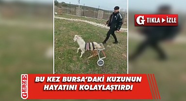 Dilovalı Abdülmenaf Çelik, kuzunun hayatına dokundu