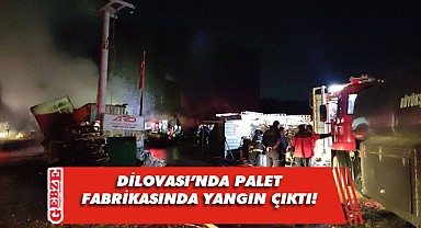 Dilovası'nda palet fabrikasında yangın!