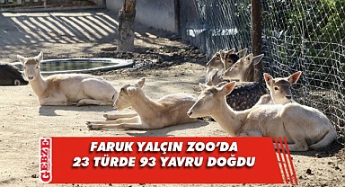 Faruk Yalçın ZOO, birçok canlıya yuva oldu