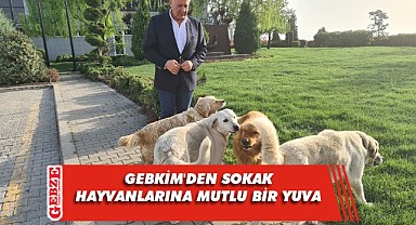 GEBKİM'in projesine bir ödül de Felis'ten