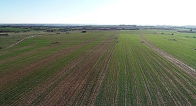 Gebze'de 17 bin 20 metrekare tarla icradan satılık