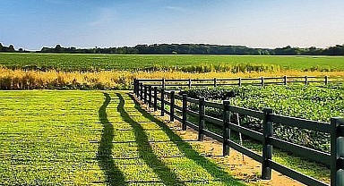 İzmit'te bin 424 metrekare arsa mahkemeden satılık