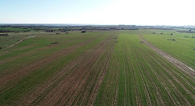 İzmit'te bin 683 metrekare tarla mahkemeden satılık