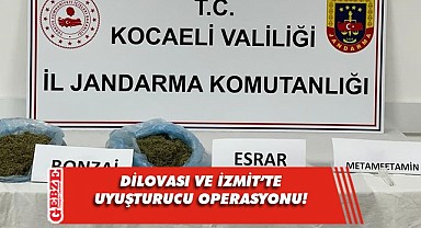 Jandarmadan uyuşturucu operasyonu: 1 gözaltı
