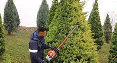 Kartepe Suadiye Kavşağı'nda ağaçlar budandı