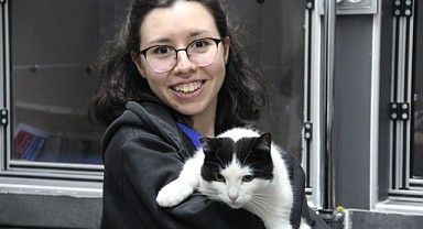 Kocaeli'de 19 bin 445 hayvanın kimliklendirildi