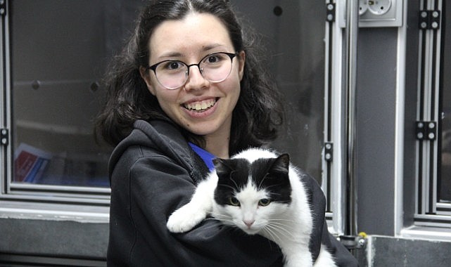 Kocaeli'de 19 bin 445 hayvanın kimliklendirildi