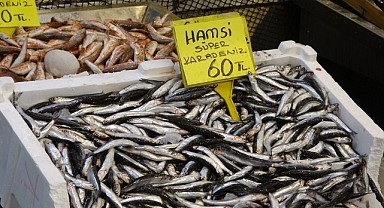 Kocaeli’de hamsinin kilosu 60 TL’ye geriledi