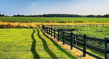 Körfez'de 345 metrekare arsa mahkemeden satılık