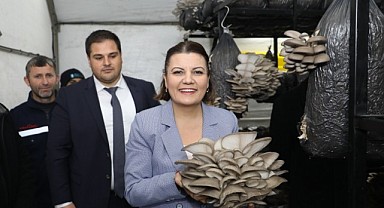 Üretilen istiridye mantarı vatandaşlara dağıtılacak