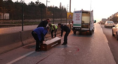 Yolun karşısına geçmek istedi, iki araç çarptı!