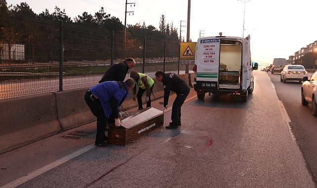 Yolun karşısına geçmek istedi, iki araç çarptı!
