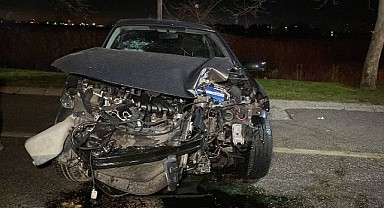 Ağaca çarpan otomobilin sürücü yaralandı 