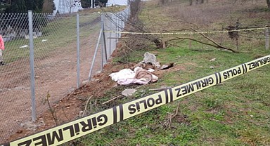 Bebek cesedi olduğu düşünülen çukurdan köpek ölüsü çıktı