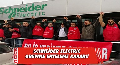 Cumhurbaşkanı Erdoğan'dan Schneider grevine erteleme!