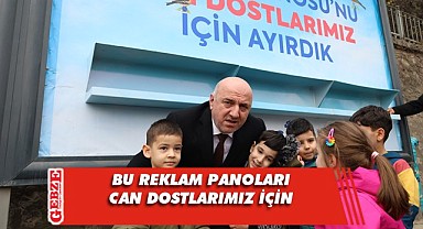 Darıca'daki reklam panoları hayvanların yem yuvası oldu