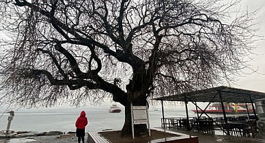 Eskihisar'da 4 buçuk asırdır ayakta duruyor